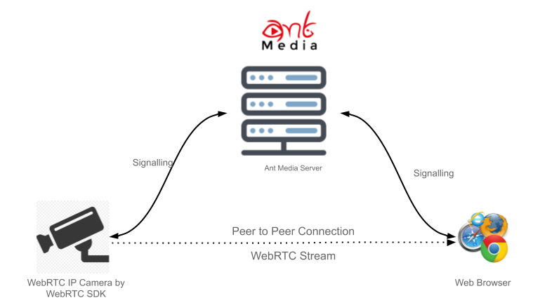 WebRTC IP Camera