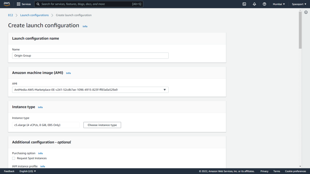 Launch configuration settings