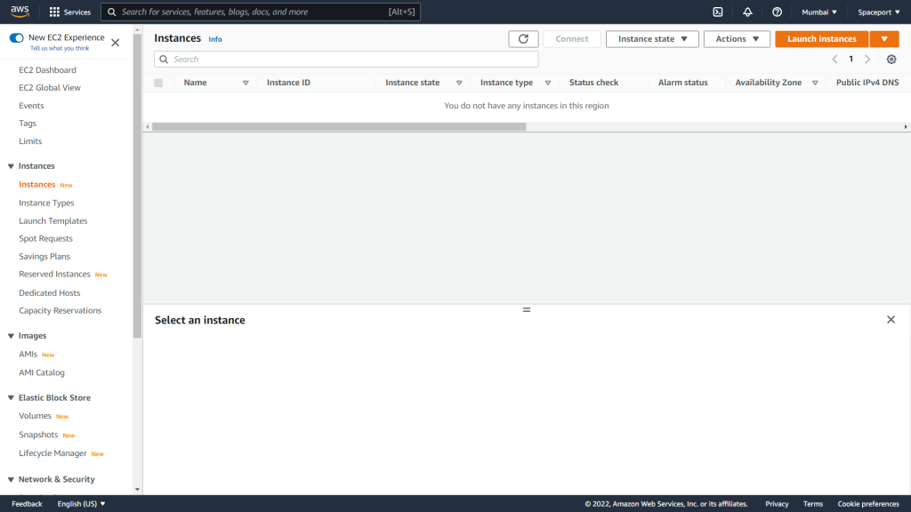 Launch EC2 instance