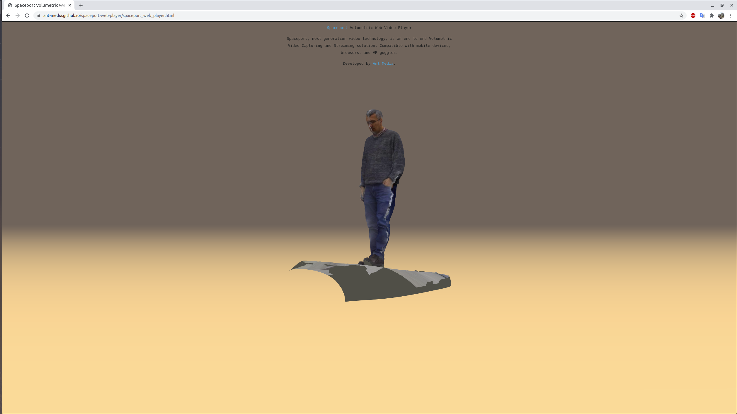 Spaceport Volumetric Video Web Player
