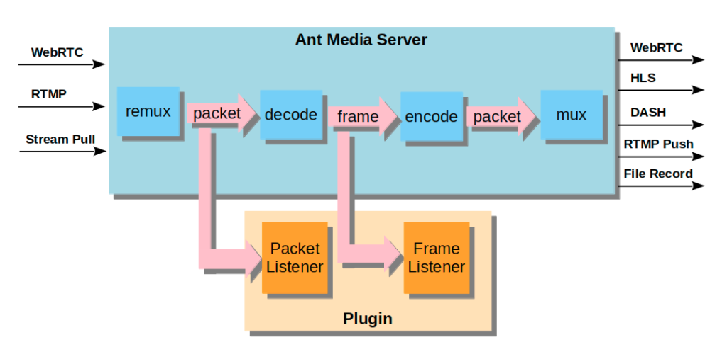 Plugin Data Flow