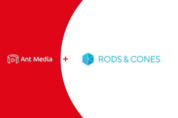 Rodes cones case study 1